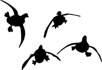 Flying Ducks, Coming in for a landing, Vinyl cut decal