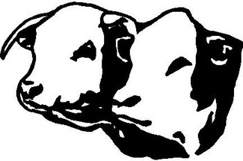 Two Calf Heads, Vinyl cut decal