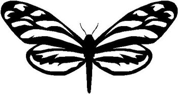 Butterfly, Vinyl cut decal