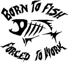 Born to fish forced to work, with a G.Loomis Fish in the middle,Vinyl cut decal