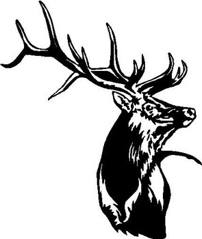 Deer, Buck, Vinyl decal sticker