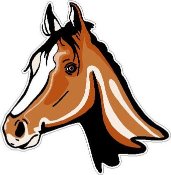 Horse Head, Full color decal
