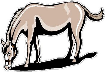 Horse, Full color decal