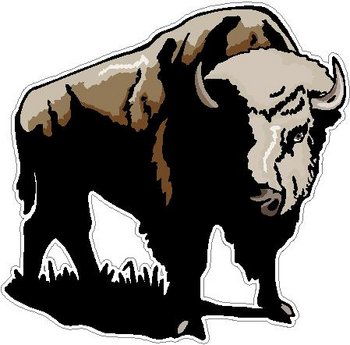 Buffalo, full color decal