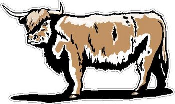 Bull, Full color decal