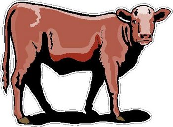 Cow, Full color decal