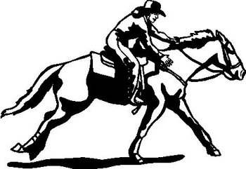 Cowgirl racing on a horse, Vinyl Cut decal
