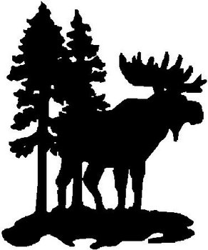A Moose standing in the woods