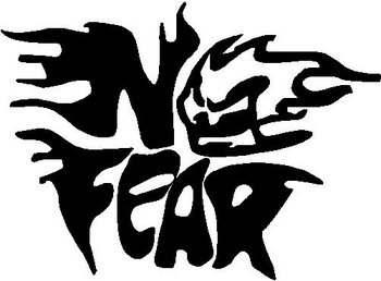 NO FEAR VINYL STICKER