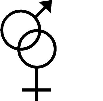 Man and Woman's symbol, Vinyl decal sticker