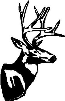 Buck, Deer mount, Vinyl cut decal