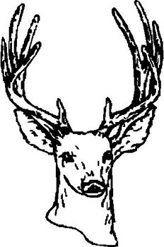 Buck, Deer, Vinyl cut decal