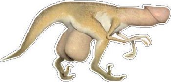 A cock-o-sore-ass-Rex, Full color decal