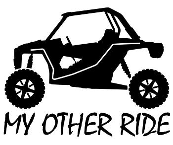 My other ride Rzr