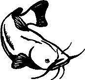 Cat fish, Vinyl decal sticker